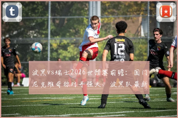 波黑vs瑞士2026世预赛前瞻：国门尼克维奇称对手强大，波黑队最新阵容与争胜策略解析