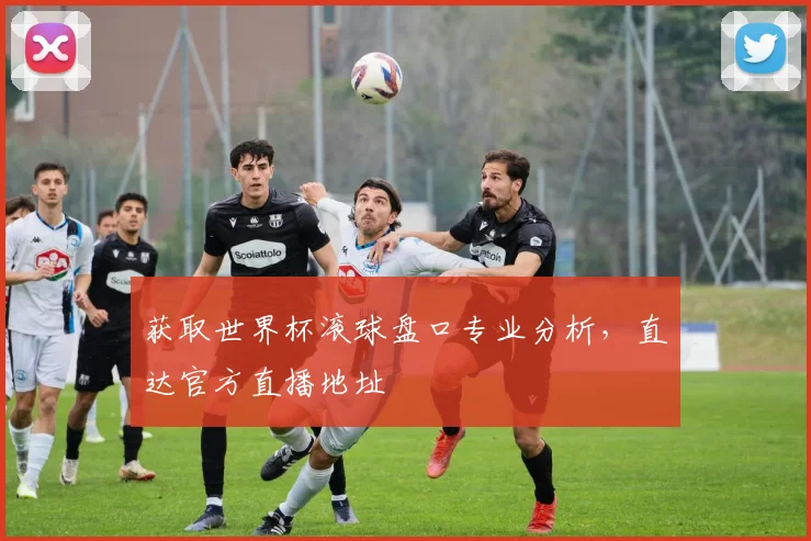 获取世界杯滚球盘口专业分析,直达官方直播地址