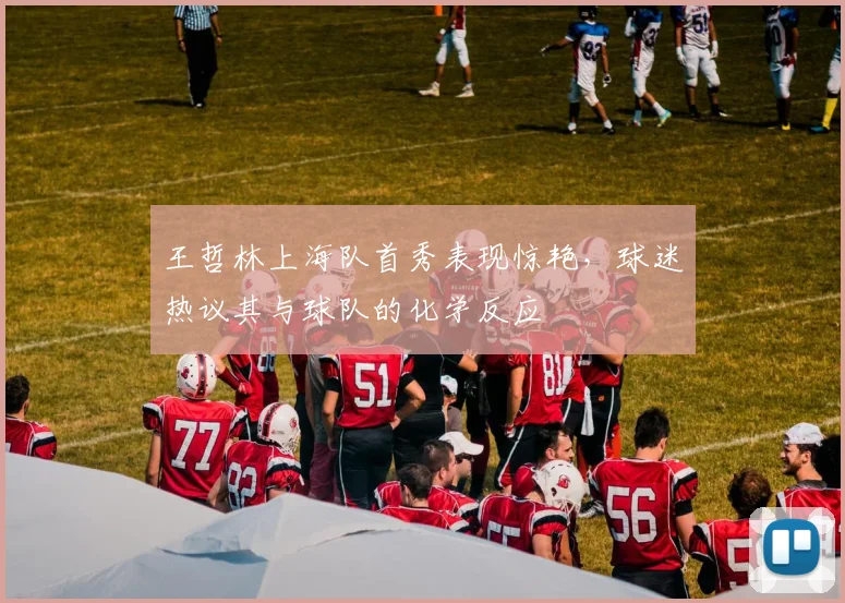王哲林上海队首秀表现惊艳,球迷热议其与球队的化学反应
