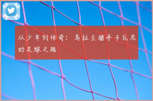 从少年到传奇：乌拉圭猎手卡瓦尼的足球之路