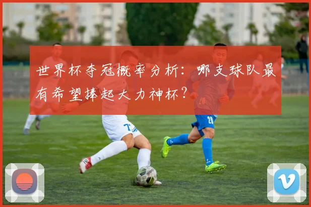 世界杯夺冠概率分析：哪支球队最有希望捧起大力神杯？